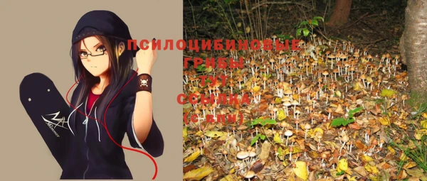 синтетический гашиш Снежинск