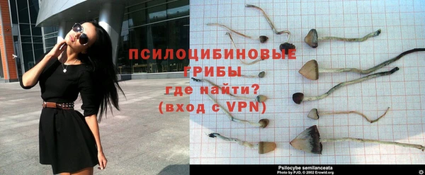 синтетический гашиш Снежинск