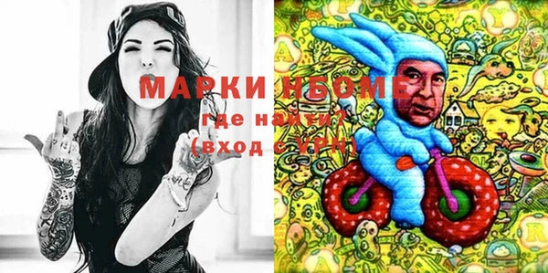 сатива Вуктыл