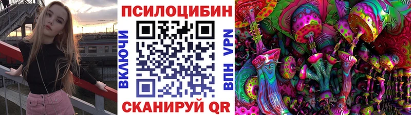 OMG ТОР  Зеленодольск  сайты даркнета официальный сайт  что такое   Псилоцибиновые грибы Magic Shrooms 