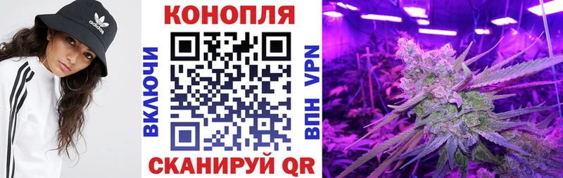 Конопля AK-47  закладки  Зеленодольск 